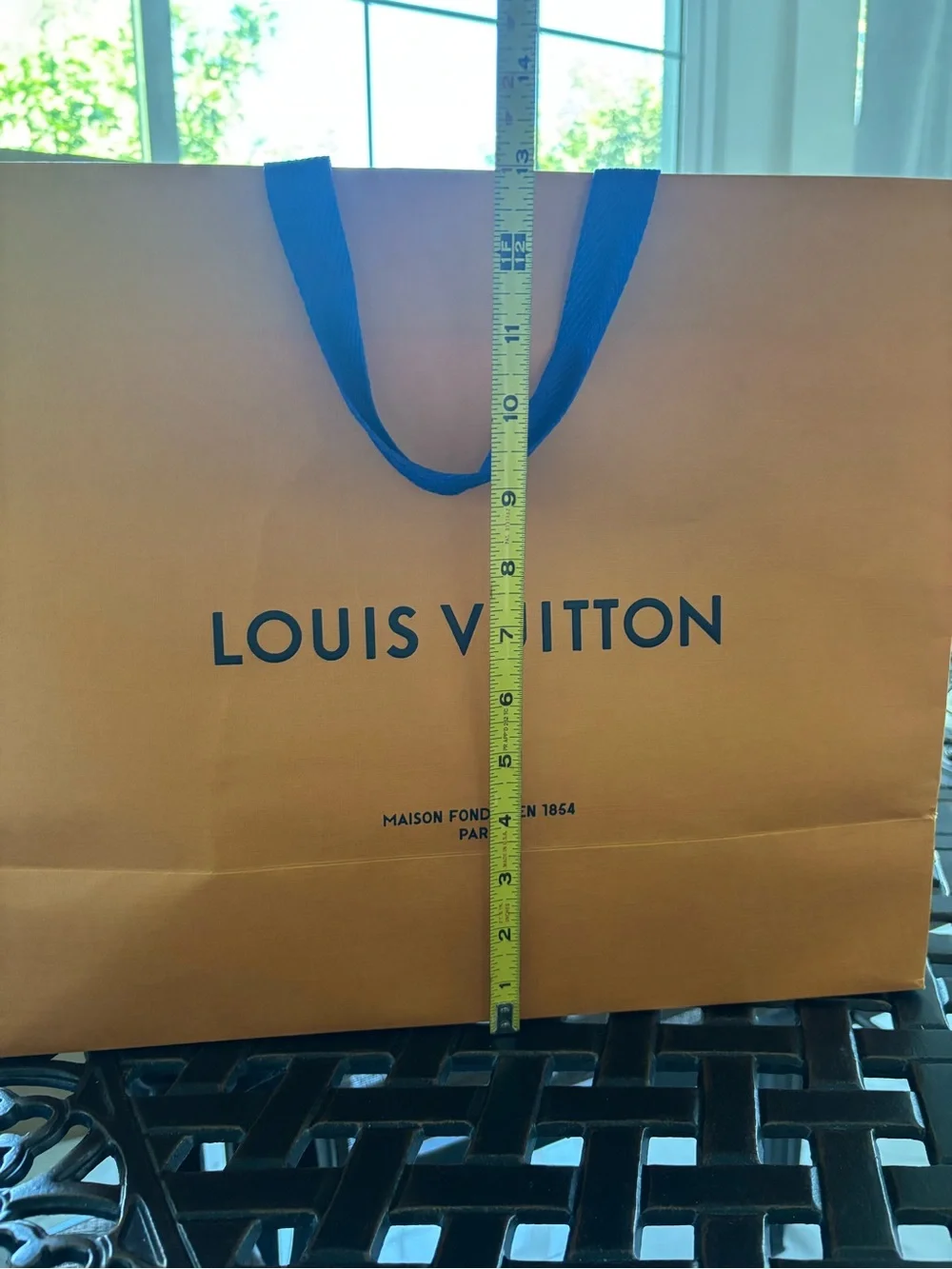 Louis Vuitton Gift Bag